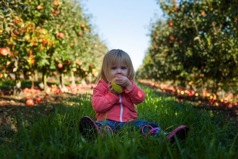 I bambini con diagnosi di diabete mellito possono usare frutti brutti